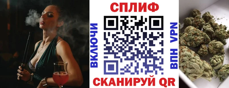 Где продают наркотики Шлиссельбург Бошки Шишки  КОКАИН  ГАШИШ  Меф мяу мяу 
