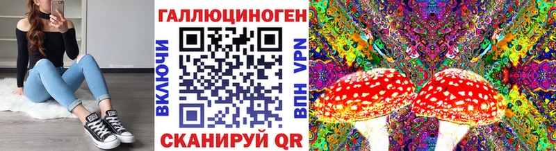 Псилоцибиновые грибы Psilocybe  Шлиссельбург 